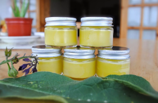Ointment of honey and eucalyptus